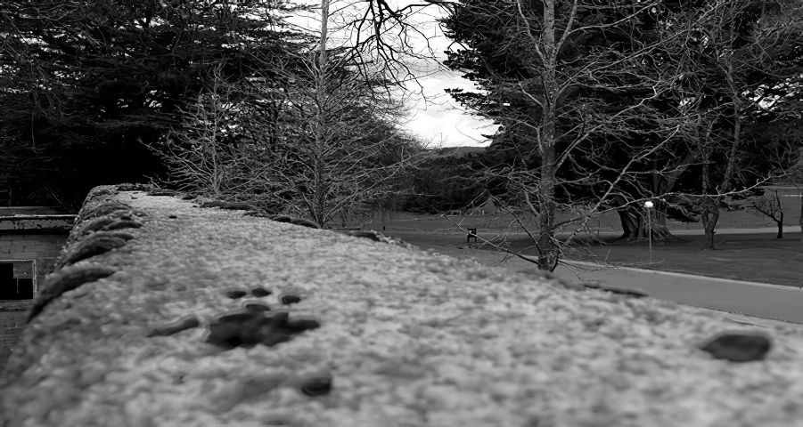 Over The WallPhotography by Phil Bell